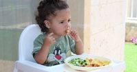 2. Panduan makan harian usia 1-3 tahun