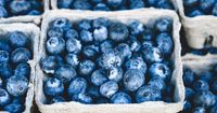 Kandungan Buah Blueberry