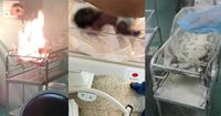 Mengenaskan Bayi Prematur Terbakar Dalam Inkubator Rakitan
