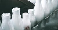 Dampak Buruk Terlalu Banyak Minum Susu UHT Balita