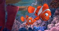 6. Finding Nemo