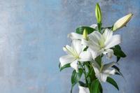 3. Bunga lily