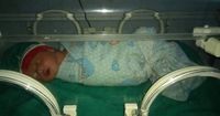 3. Bayi dikeluarkan dari perut istri ditaruh dekat jendela