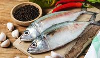 Kandungan Nutrisi Ikan Kembung