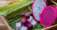 5. Potongan buah pu tekstur baik sensori