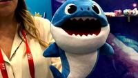 Siap-siap Ma, Bakal Ada Boneka Tangan Baby Shark