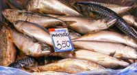 Murah Enak, Ini 6 Manfaat Konsumsi Ikan Kembung saat Hamil