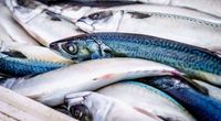 6 Resep MPASI Berbahan Dasar Ikan Sarden