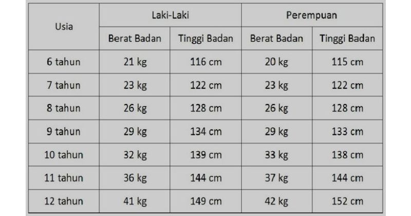 Tabel Tinggi Dan Berat Badan Anak Usia 6-12 Tahun