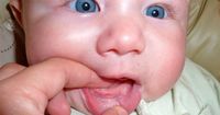 Menurut Dokter, Begini Cara Merangsang Gigi Bayi agar Cepat Tumbuh
