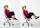 2. Lakukan gerakan seated knee tucks saat duduk