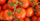 6. Tomat