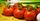 4. Tomat sayur menjadi penyedap alami