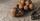 1. Kacang walnut bisa meningkatkan vitalitas sperma kesuburan
