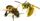 Ini Perbedaan Lebah Tawon, Sering Dikira Sama oleh si Kecil