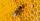 Mengenal Bee Pollen