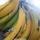 10. Pisang tanduk memiliki bentuk menyerupai tanduk