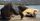 4. Komodo Pulau Rinca lebih agresif