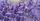 4. Lavender membantu pikiran lebih rileks selama sesi bercinta