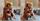 Bikin Gemas 15 Kebersamaan Kylie Jenner Stormi Webster