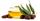 11 Manfaat Minyak Jojoba Jaga Kesehatan Tubuh Balita