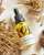 4. Purivera botanicals rice bran serum oil