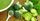 7. Sayur-sayuran bergenus brassica mengandung jumlah kolin berbeda-beda