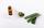 4. Gunakan gel aloe vera