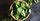 3. Sayuran hijau berupa selada bayam