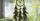 5. Dream catcher