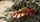 Fakta Unik Kepiting Merah Pulau Christmas Jumlah Ratusan Juta