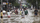 7 Penyebab Terjadi Banjir, Yuk Jaga Kebersihan Lingkungan Sekitar