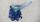 3. Ubur-ubur bluebottle