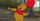 7. Nama "Winnie the Pooh" diambil dari dua latar belakang cerita berbeda