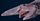 4. Ikan hiu goblin