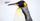 4. Jenis penguin emperor adalah spesies penguin berukuran paling besar
