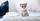 7. Lucu menggemaskan