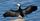 2. Burung kormoran