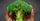 Bagaimana Memilih Brokoli