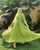 3. Dress berwarna hijau detail payet manis