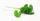 7. Daun katuk