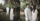 Kaesang & Erina Foto Bawah Pohon Beringin, Pakai Outfit Serba Putih