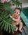 2. Potret Baby Xarena pinggir kolam renang