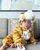 10. Potret gemas Baby Leslar kostum macan