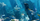 4. Manusia Laut “Gipsy Sea” dari Suku Bajo jadi inspirasi film Avatar 2