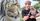 10 Foto Lucu Loco, Kucing British Shorthair Harris Vriza