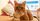 250 Nama Kucing Lucu Korea Inisial N-Y, Pu Arti Bagus