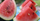 5. Melon semangka