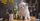 300 Nama Kucing Betina Aesthetic Inisial N-Z Beserta Artinya