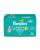 10. Pampers Baby-Dry